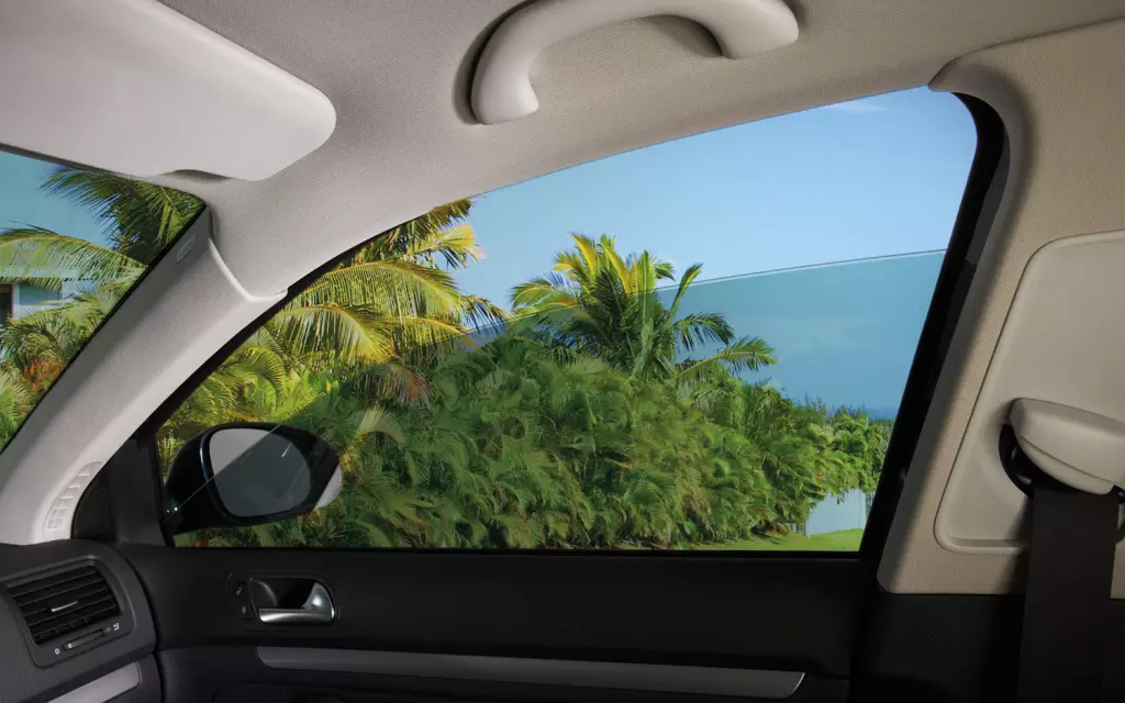 window on car roof